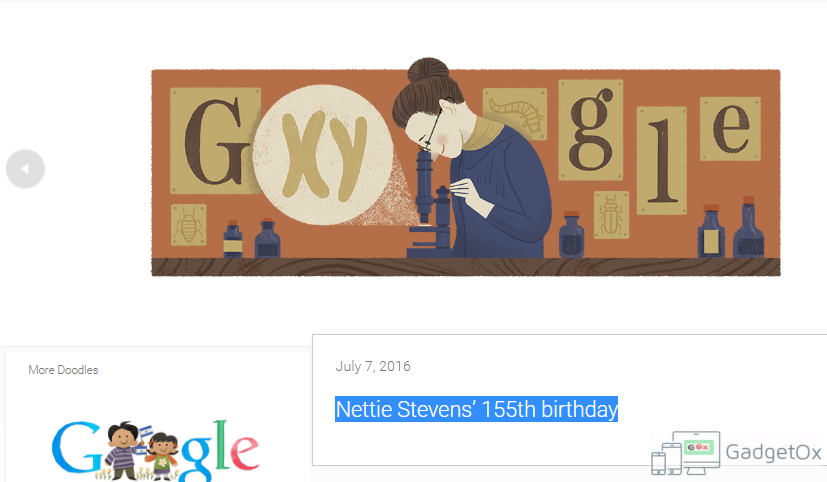 Google Doodle on Nettie Stevens